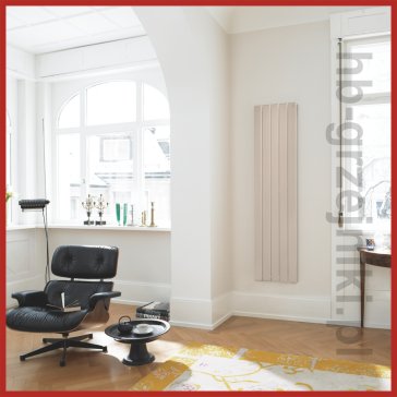 Zehnder Roda Electric Pionowa